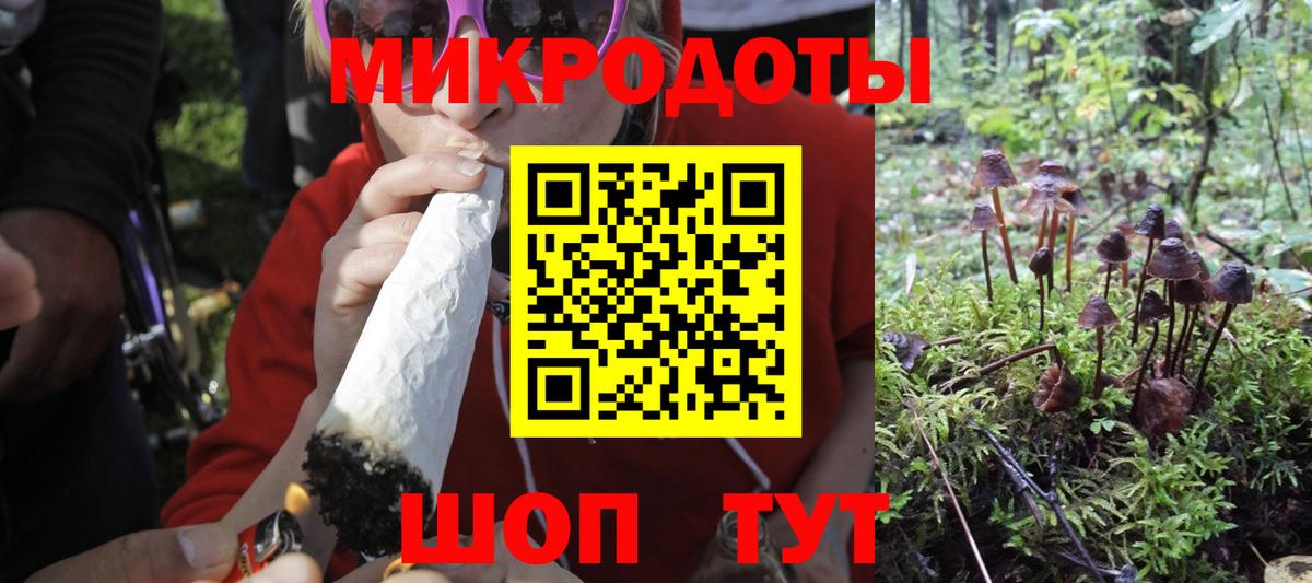 Псилоцибиновые грибы MAGIC MUSHROOMS Чебаркуль